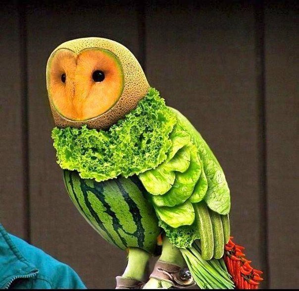 Animals made out of fruit and vegetables